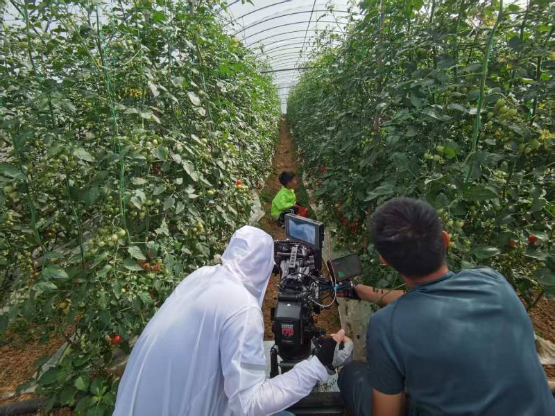 南明区产品宣传视频拍摄公司进阶指南，助力品牌抢占传播高地